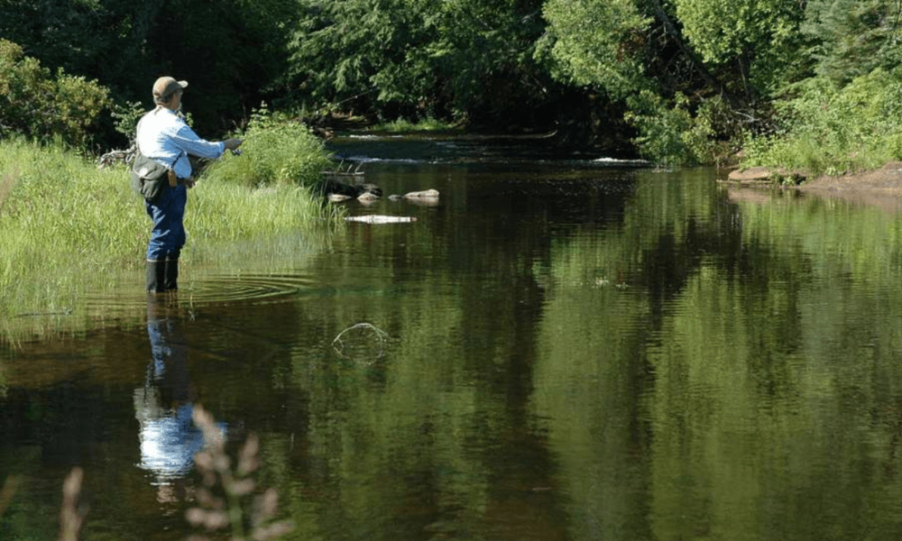 Fishing Amenities